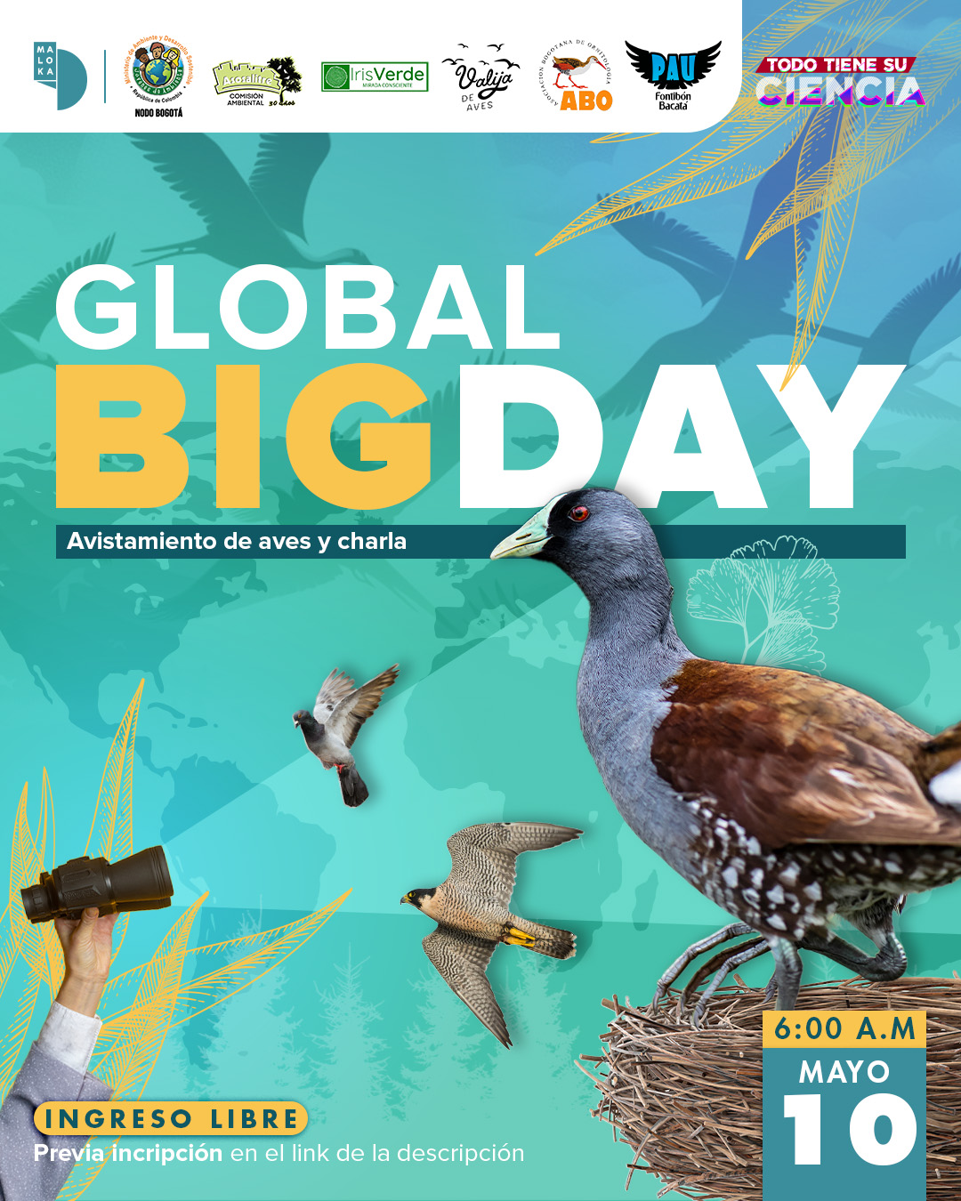 ¡En mayo prográmate con la Agenda Cultural y Científica de Maloka! 2 aves pato binoculares pajaros portada animales 2