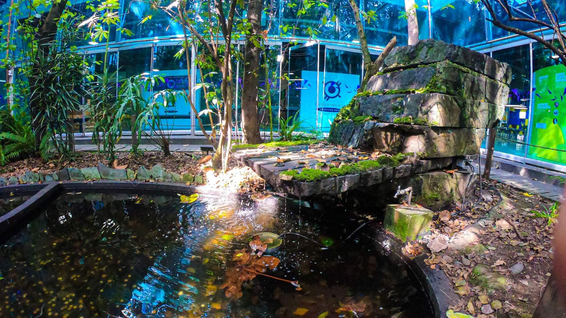 Sala Biodiversidad Maloka