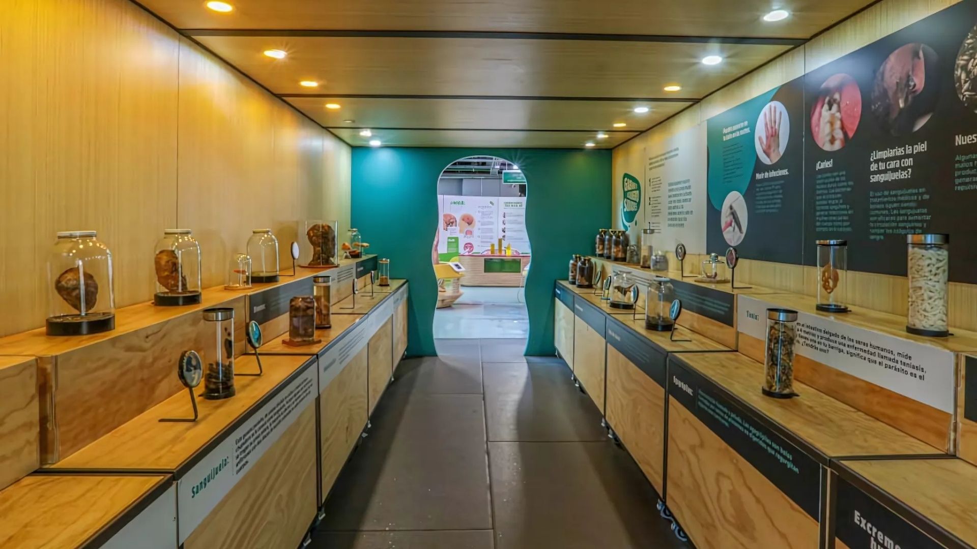 Sala Guácala: La Ciencia del Asco