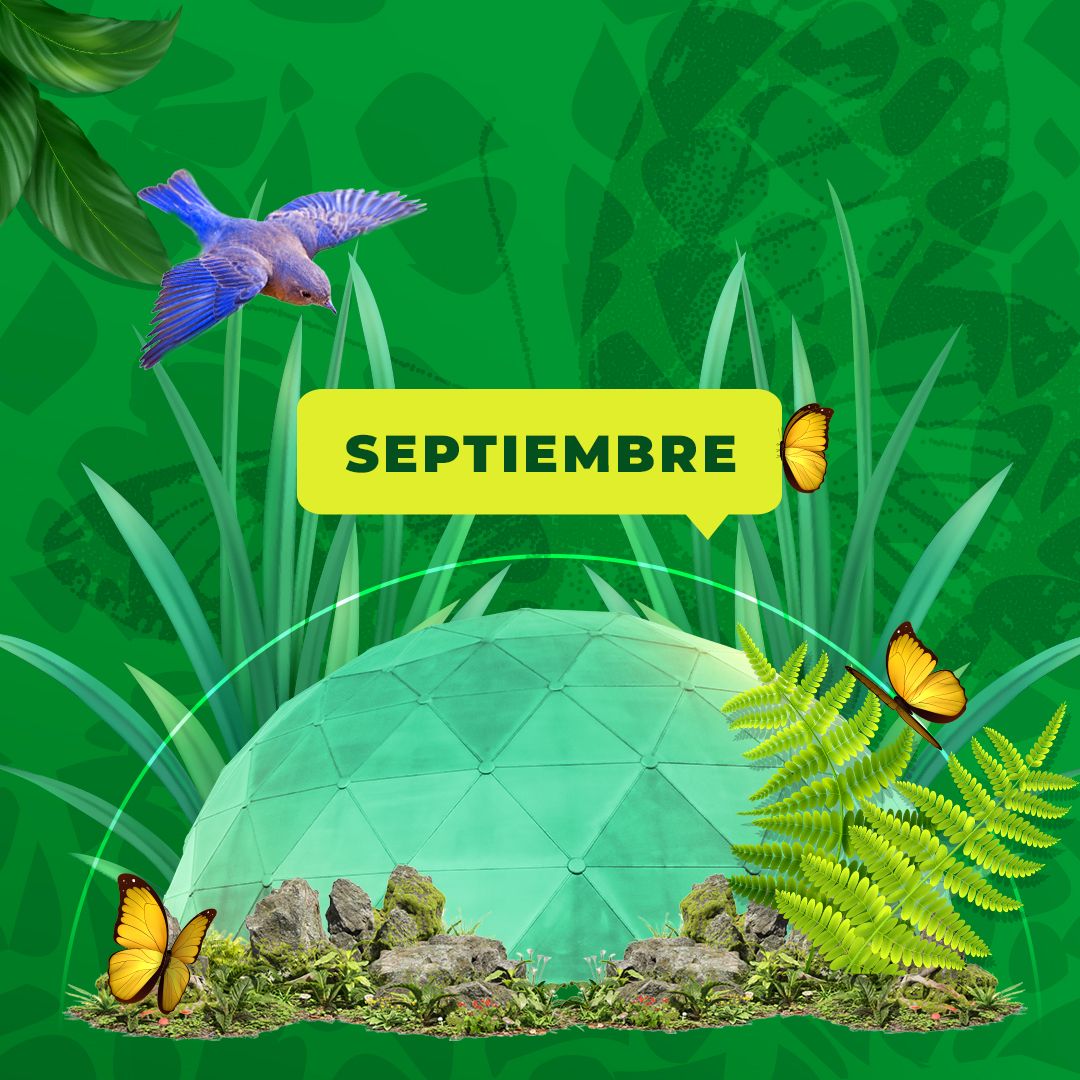 Programación de septiembre 2025 en Maloka Bogotá, actividades y experiencias interactivas.