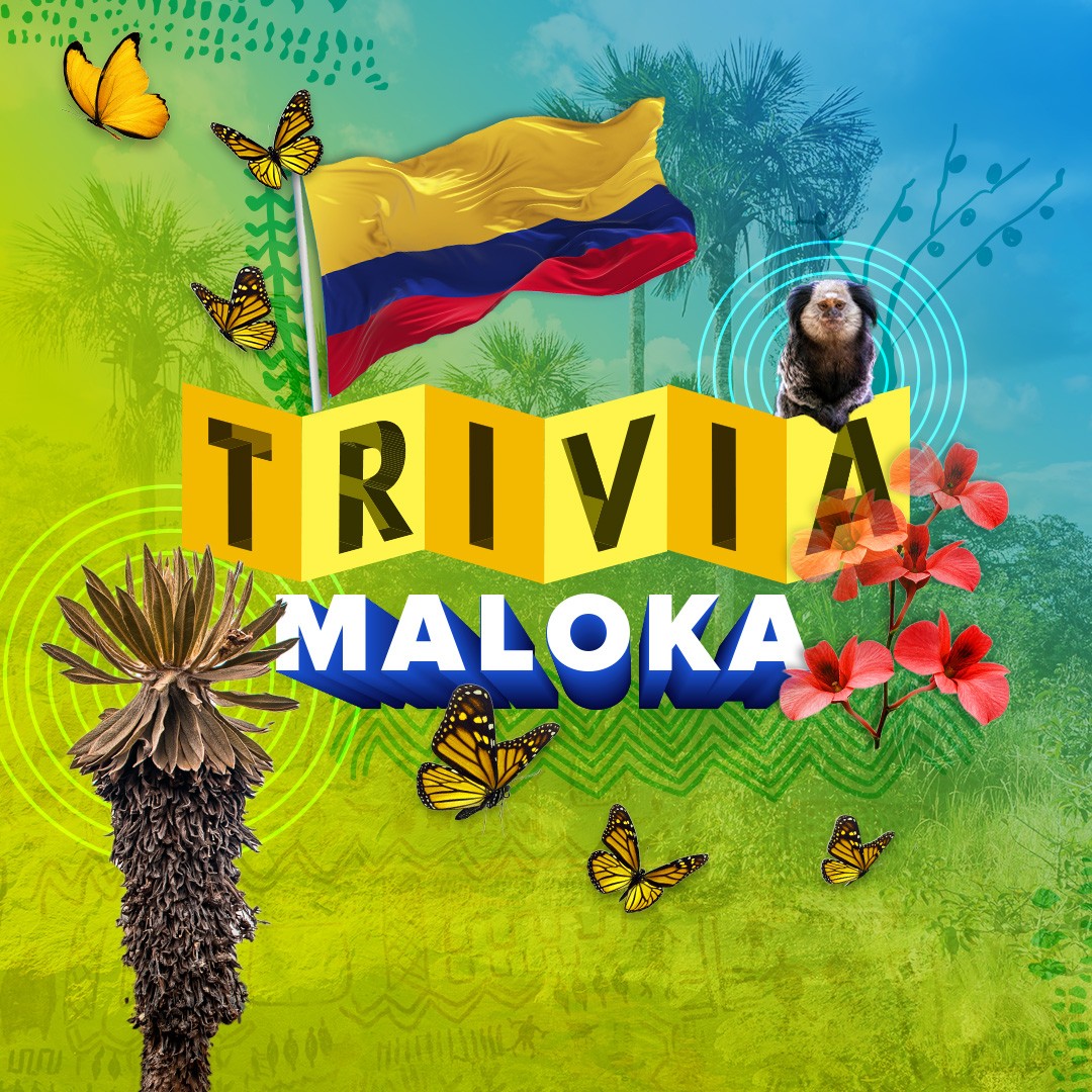 Trivia Maloka sobre patrimonio natural colombiano con diseño gráfico de frailejón, mariposas y bandera de Colombia.