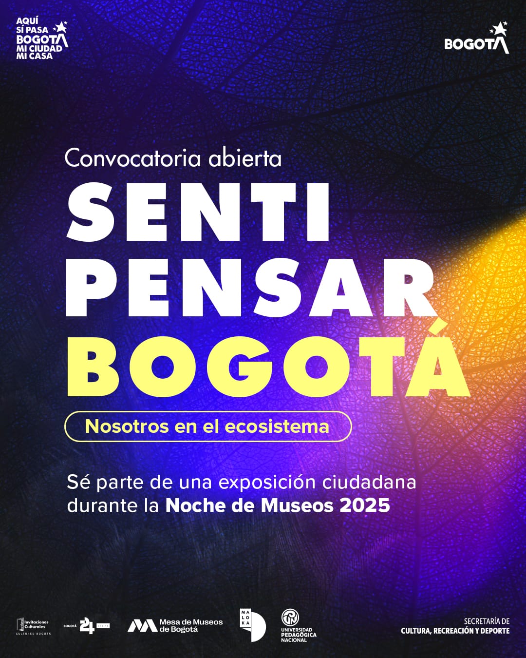 Sé parte de la exposición ciudadana “Sentipensar Bogotá, nosotros en el ecosistema”, con tus fotografías e ilustraciones 1 convocatoria sentipensar bogota