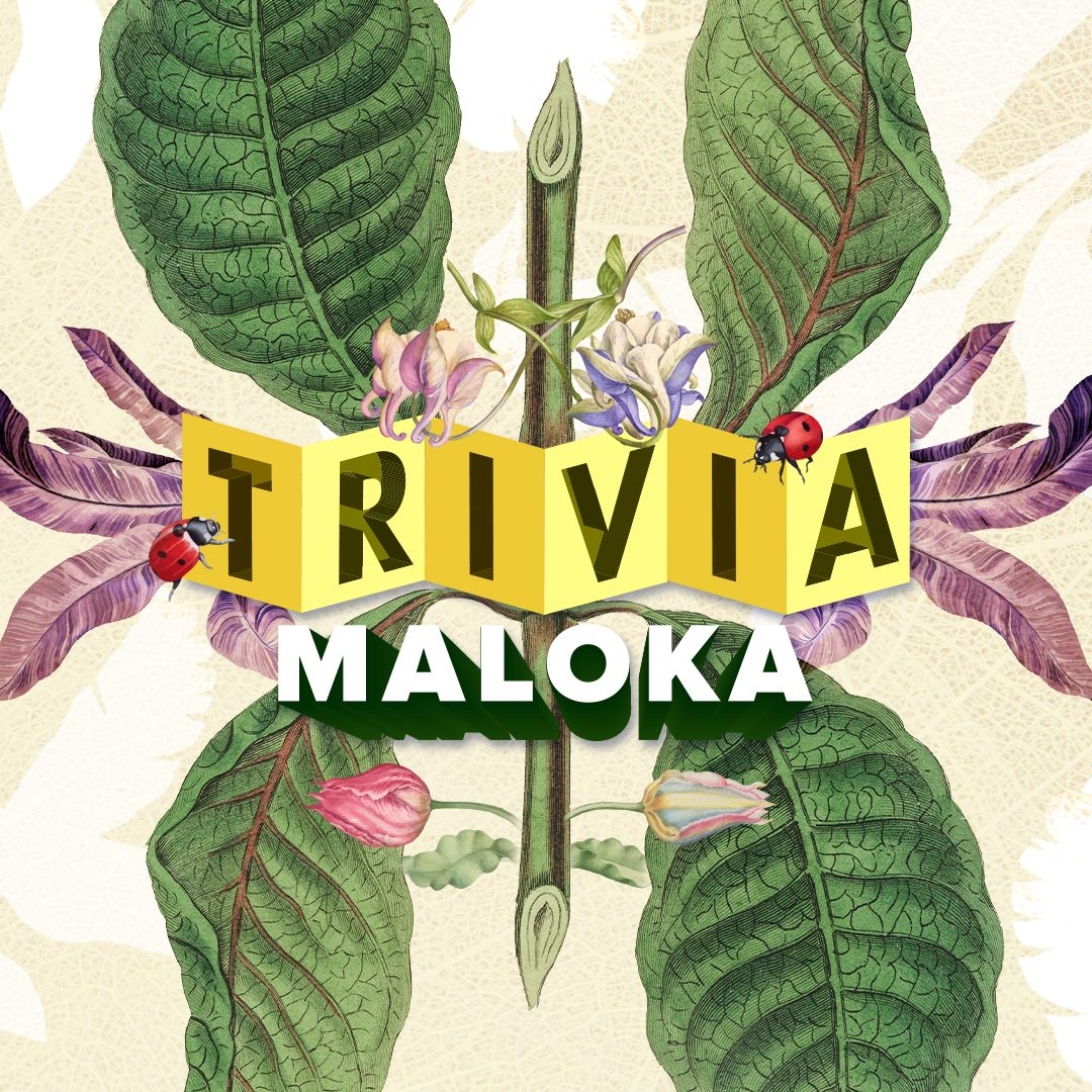 historias expedicion botanica trivia 1