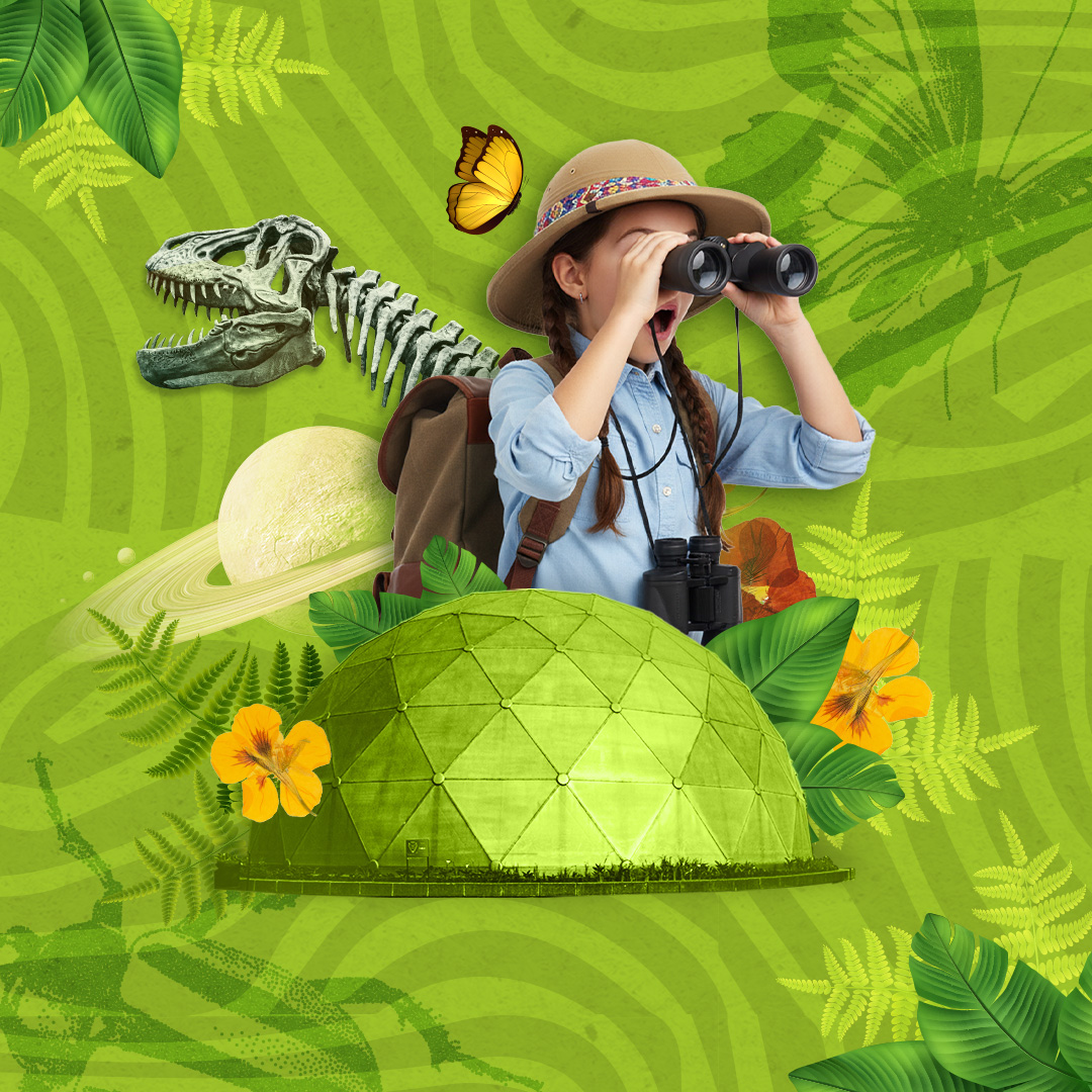 semana receso vacaciones explorador domo verde dinosaurio 1
