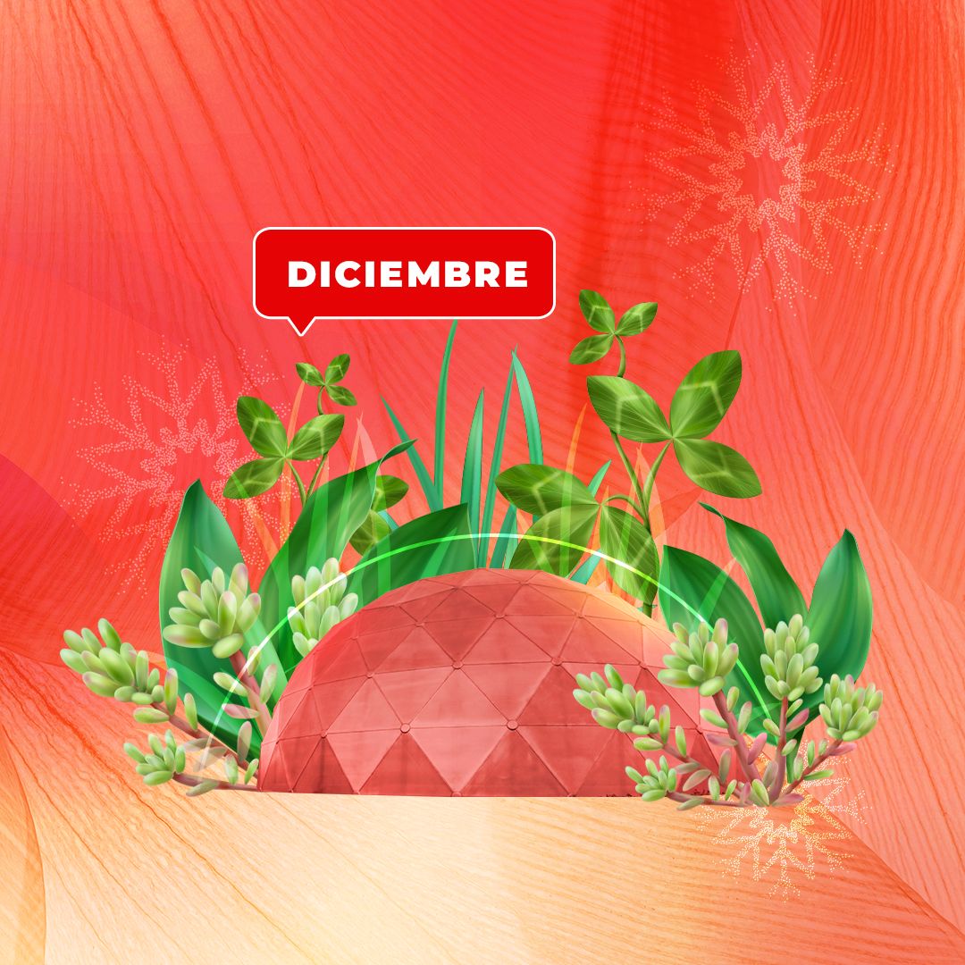 Sala de Prensa 2 Descubre la agenda de diciembre 2025 en Maloka: ciencia, arte, astronomía y tradición para cerrar el año celebrando la curiosidad y el conocimiento.