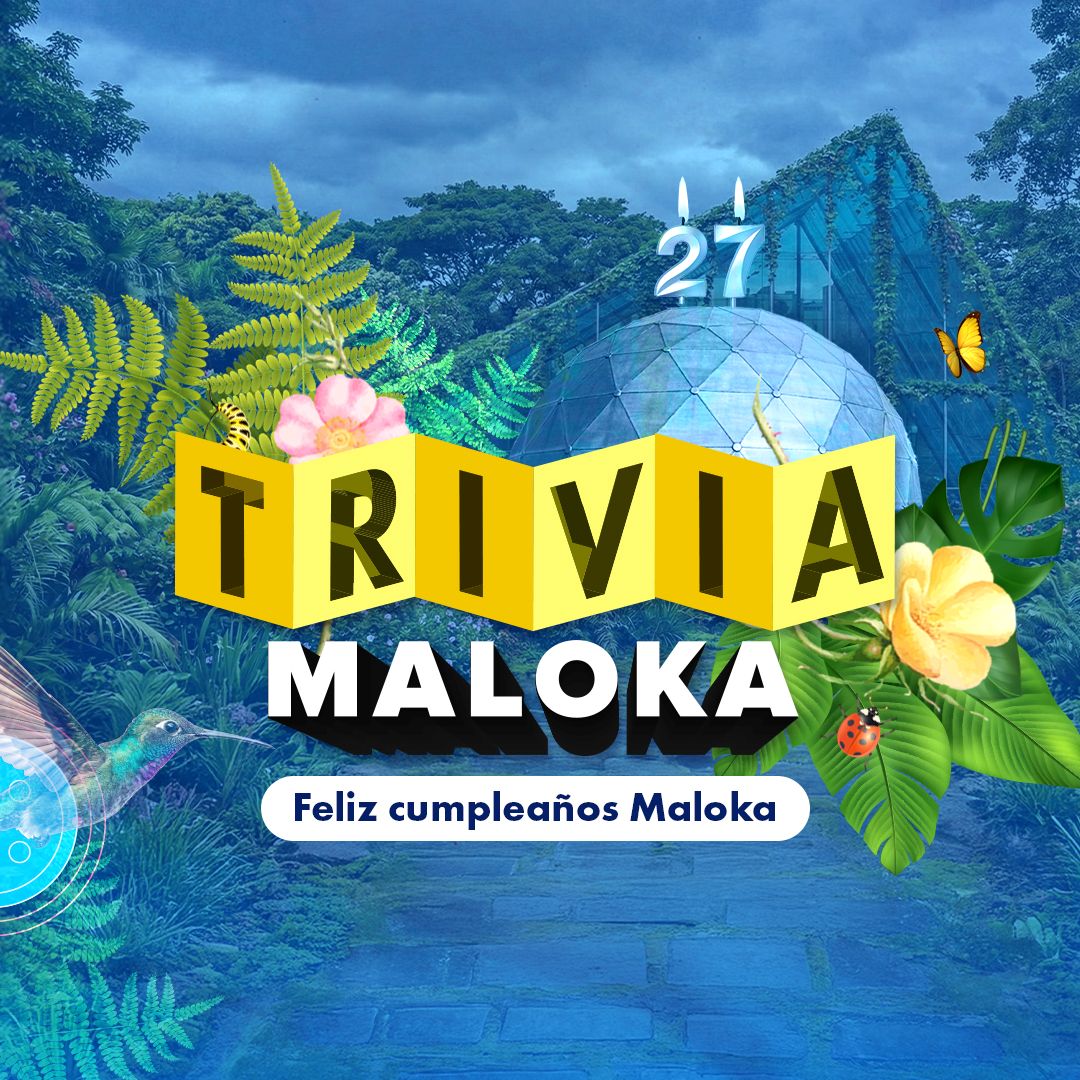 Celebra los 27 años de Maloka participando en la trivia de diciembre. Pon a prueba tus conocimientos sobre ciencia, cultura y el museo interactivo.