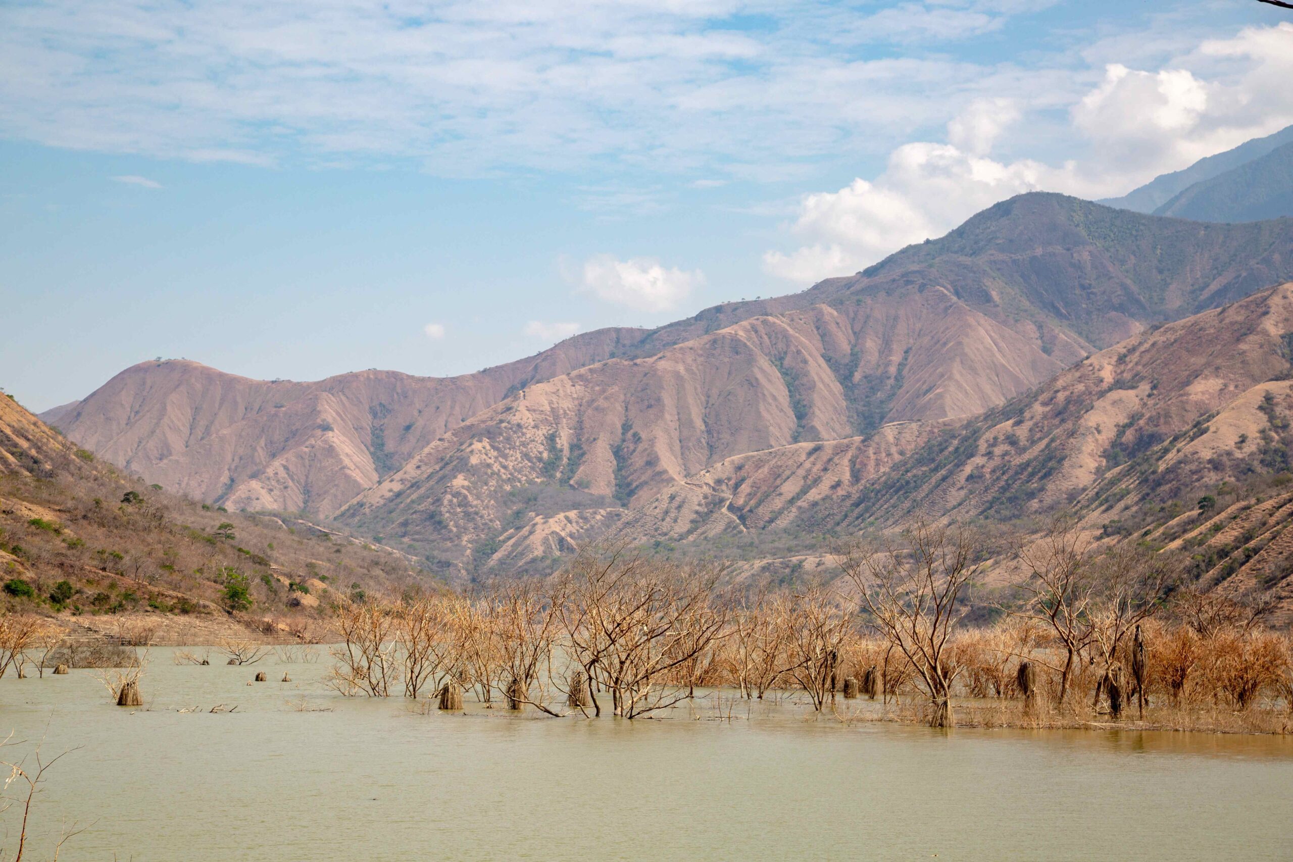 INSTITUTO HUMBOLDT ANT00118 Felipe Villegas Velez scaled