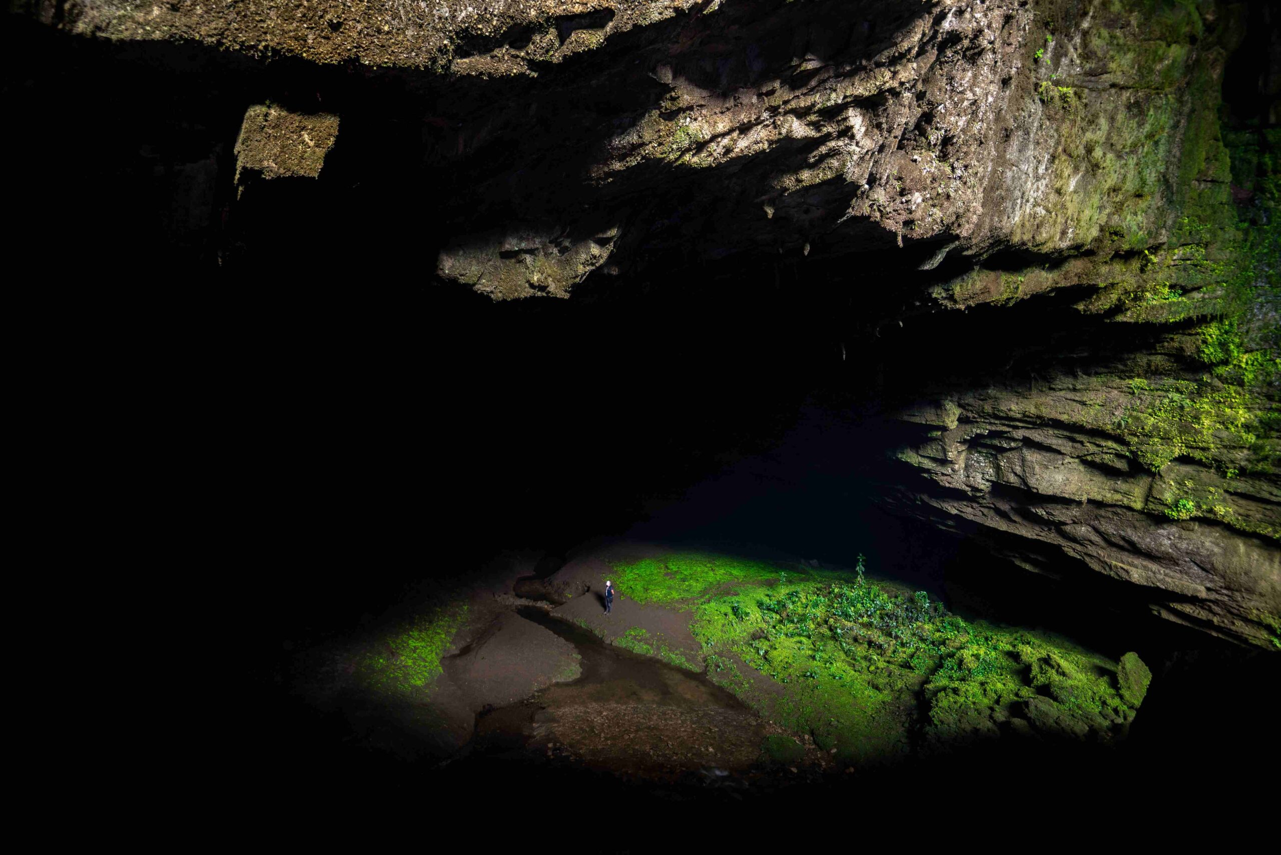INSTITUTO HUMBOLDT Cueva El Caracol SN PEN 0 130816 0320 Felipe Villegas Velez scaled