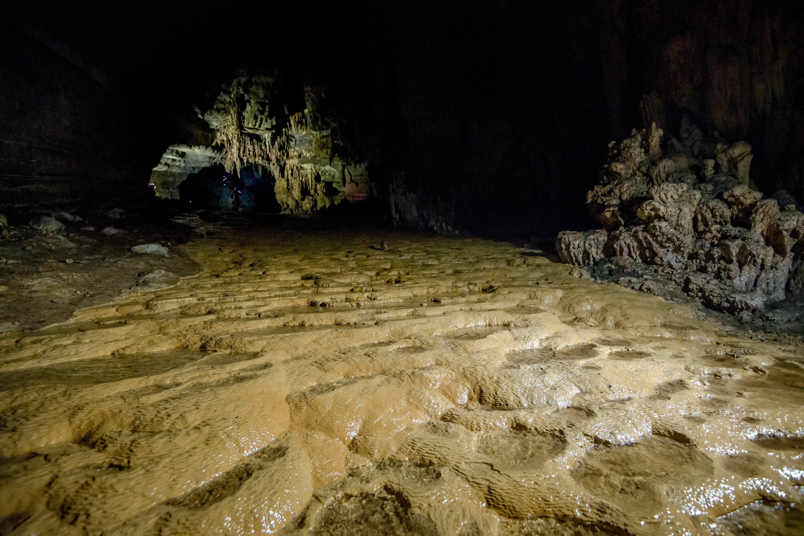 INSTITUTO HUMBOLDT Cuevas SN PEN 0 230816 3712 Camilo Martinez scaled