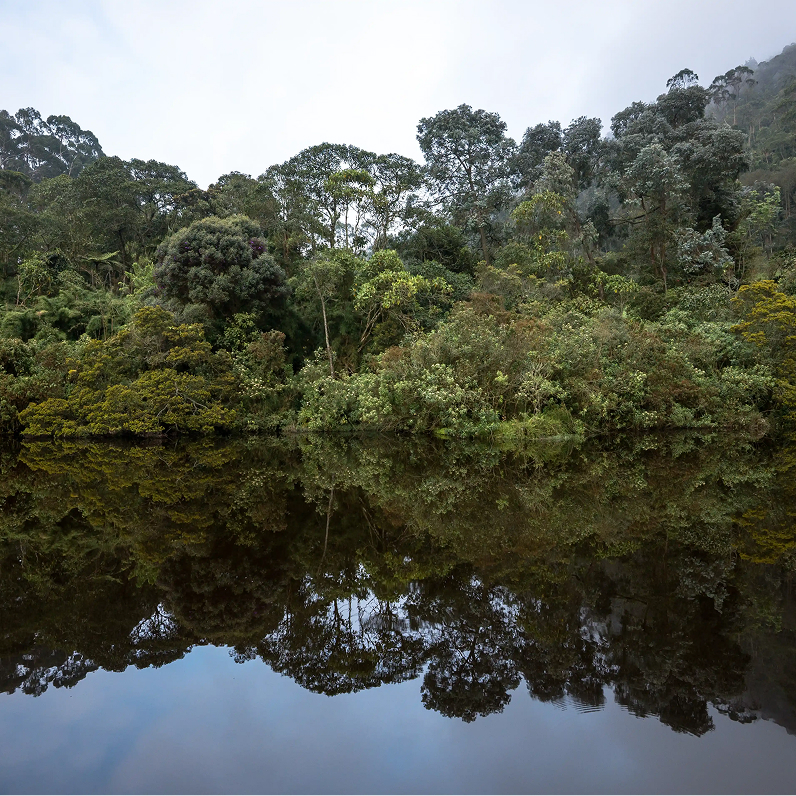 INSTITUTO HUMBOLDT Humedal CN SFR 0 181016 7192 Felipe Villegas Velez 6 1