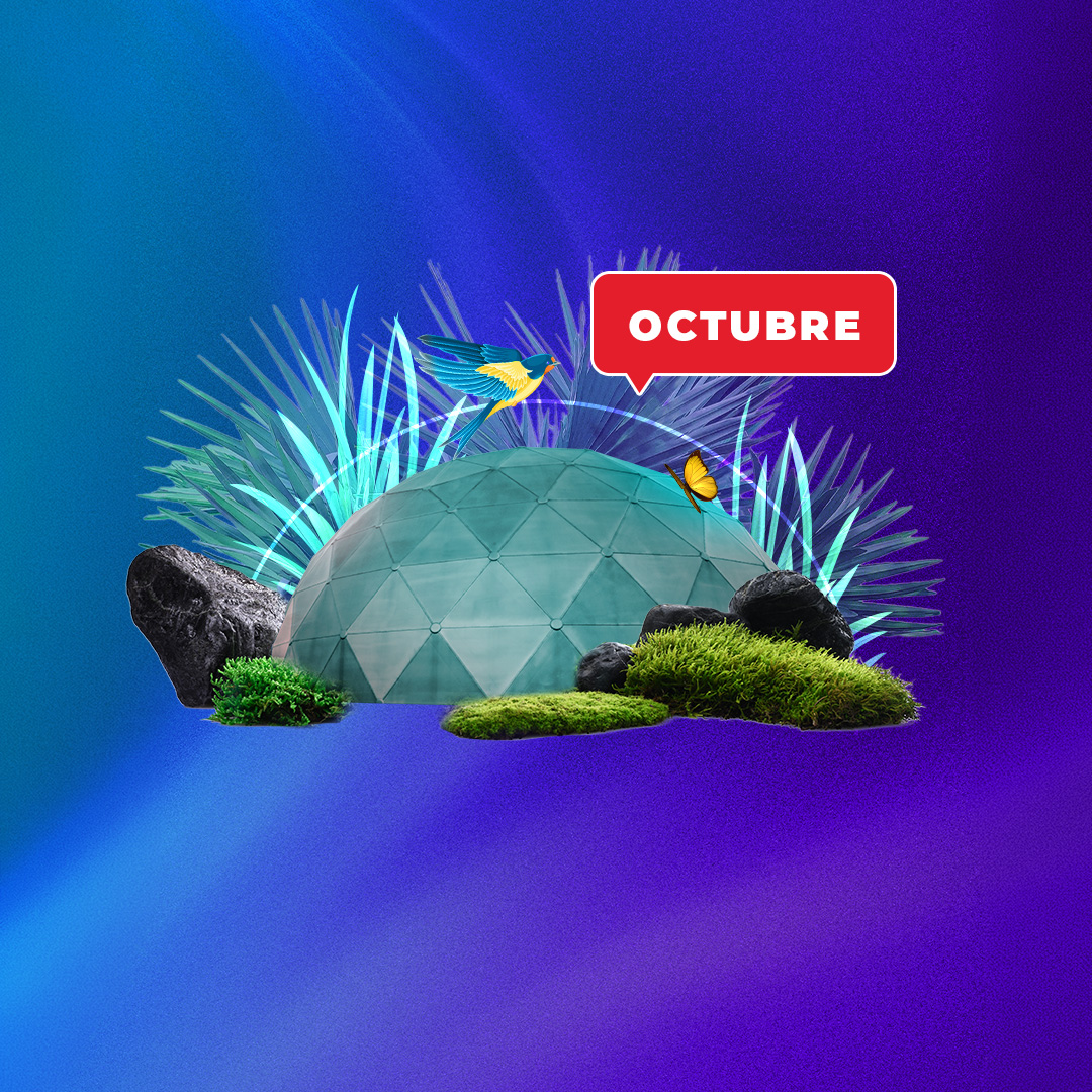 1080 Web Agenda