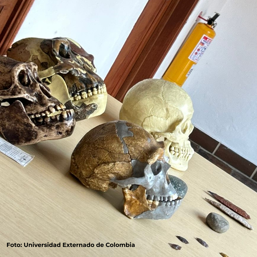Maloka, museo interactivo 1 WhatsApp Image 2026 09 02 at 4.11.34 PM 1 1 1