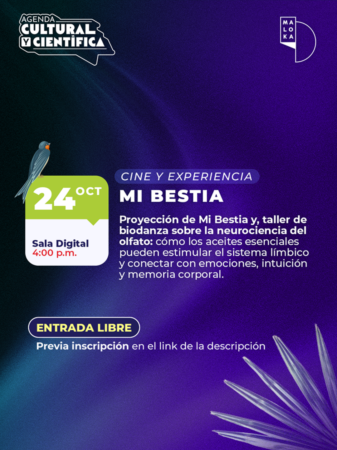 Web_Evento11 1