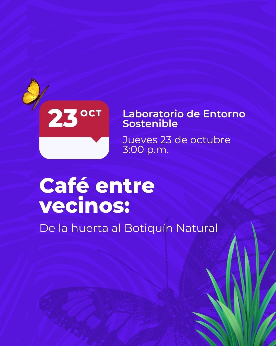 Participa en el Café entre vecinos y conoce las propiedades medicinales de las plantas de huerta con la experta Juliana Cepeda en Maloka.