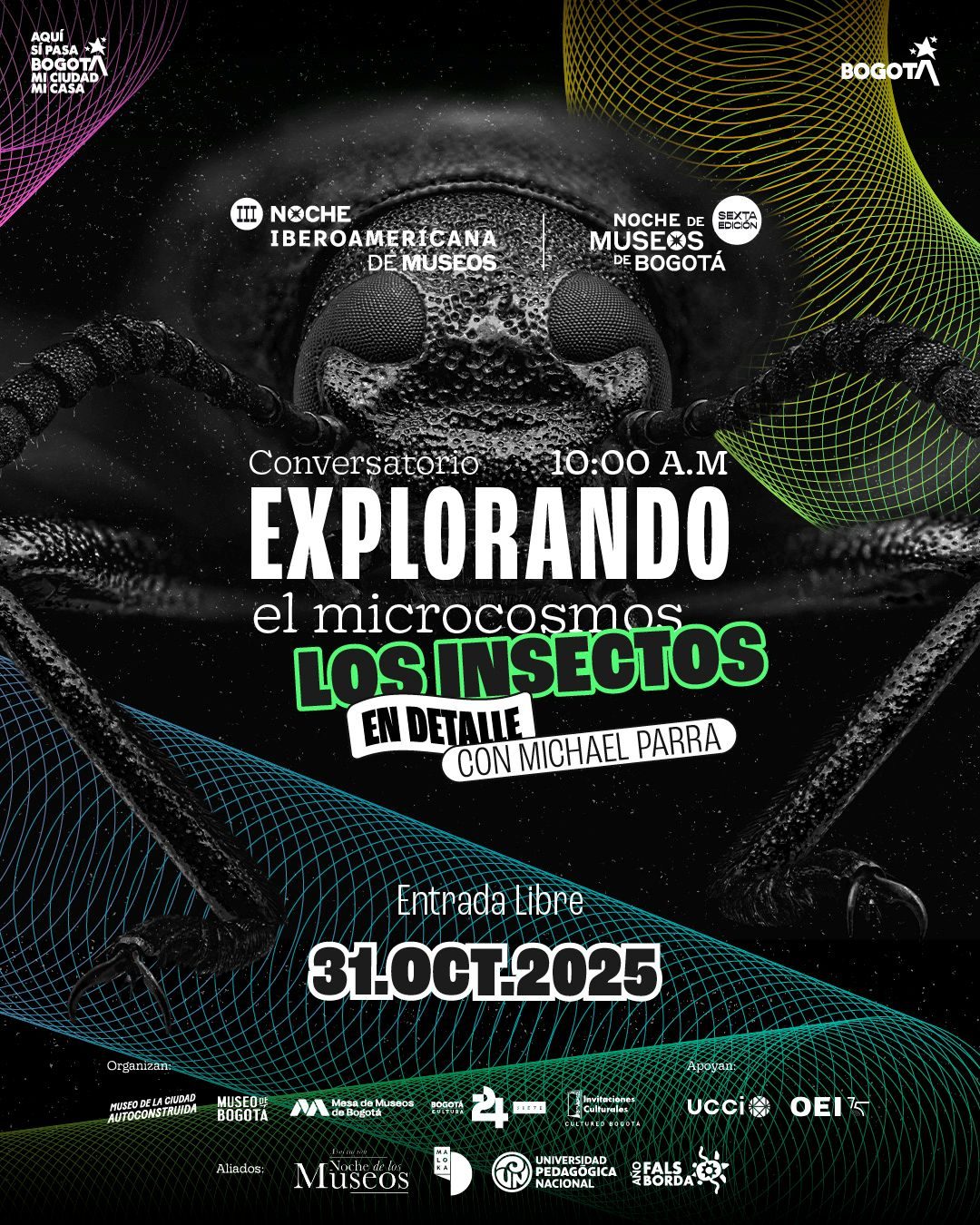 Descubre la belleza y diversidad de los insectos en el conversatorio con Michael Parra. Ciencia, arte y macrofotografía en la Noche de Museos 2025.