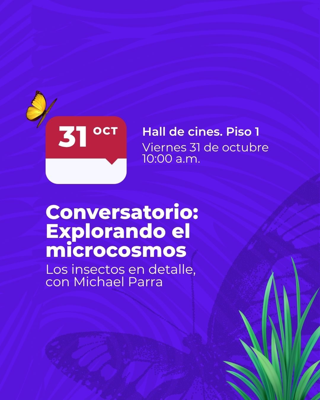 Descubre la belleza y diversidad de los insectos en el conversatorio con Michael Parra. Ciencia, arte y macrofotografía en la Noche de Museos 2025.