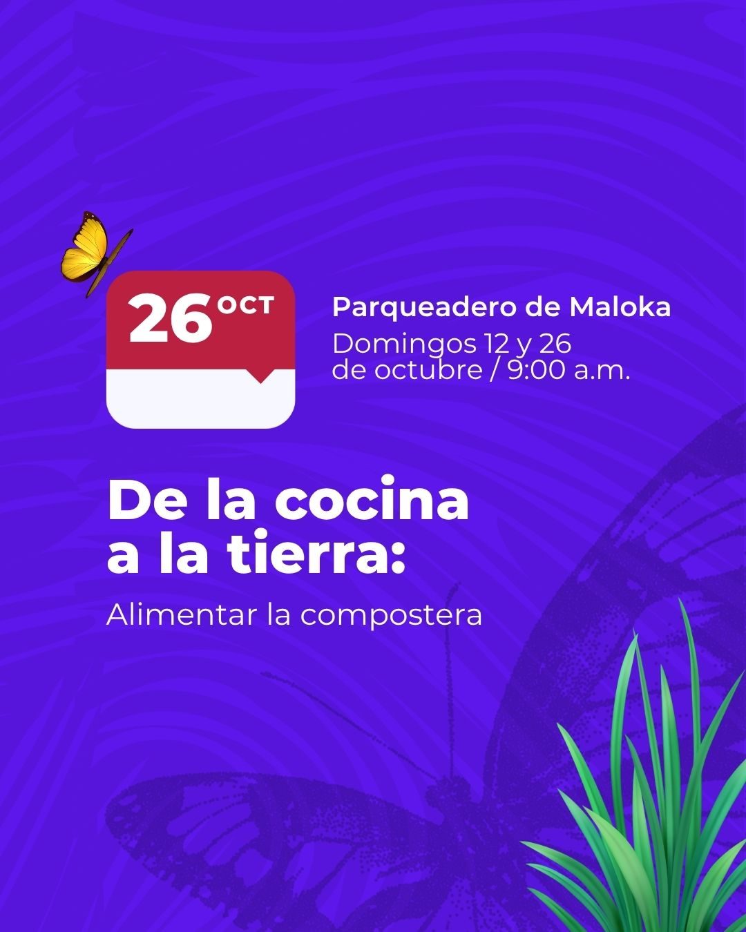 Participa en “De la cocina a la tierra” y aprende sobre compostaje, siembra y sostenibilidad. Trae tus residuos orgánicos a Maloka y vive la ciencia verde.