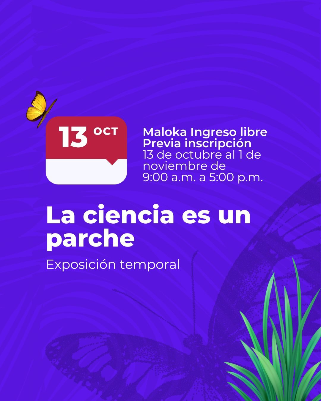 Descubre “Iridiscente. Joyas vivientes”, la exposición que une arte y ciencia con microfotografías de insectos colombianos. Entrada libre en Maloka.