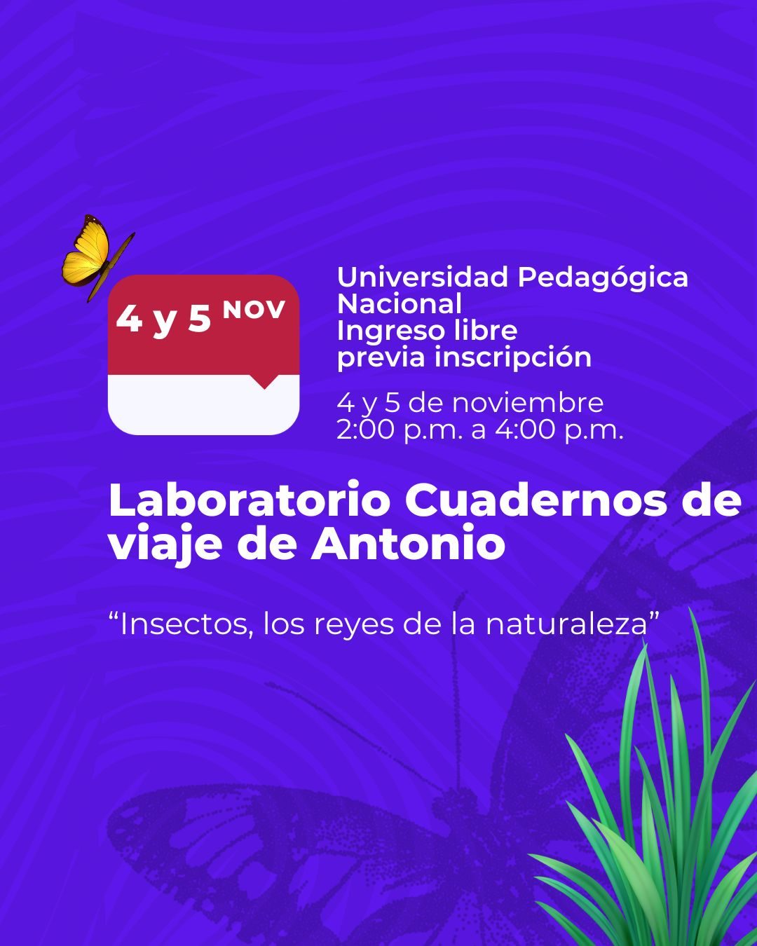 Explora el mundo de los insectos en el laboratorio “Cuadernos de viaje de Antonio”. Arte, ciencia y biodiversidad en la Noche de Museos 2025.