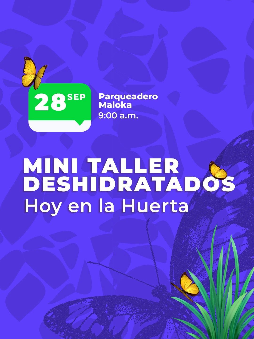 Mini taller de deshidratados en la huerta de Maloka Bogotá con plantas y cosechas locales.