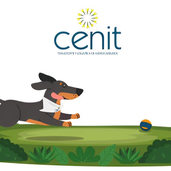 programa-cenit-maloka