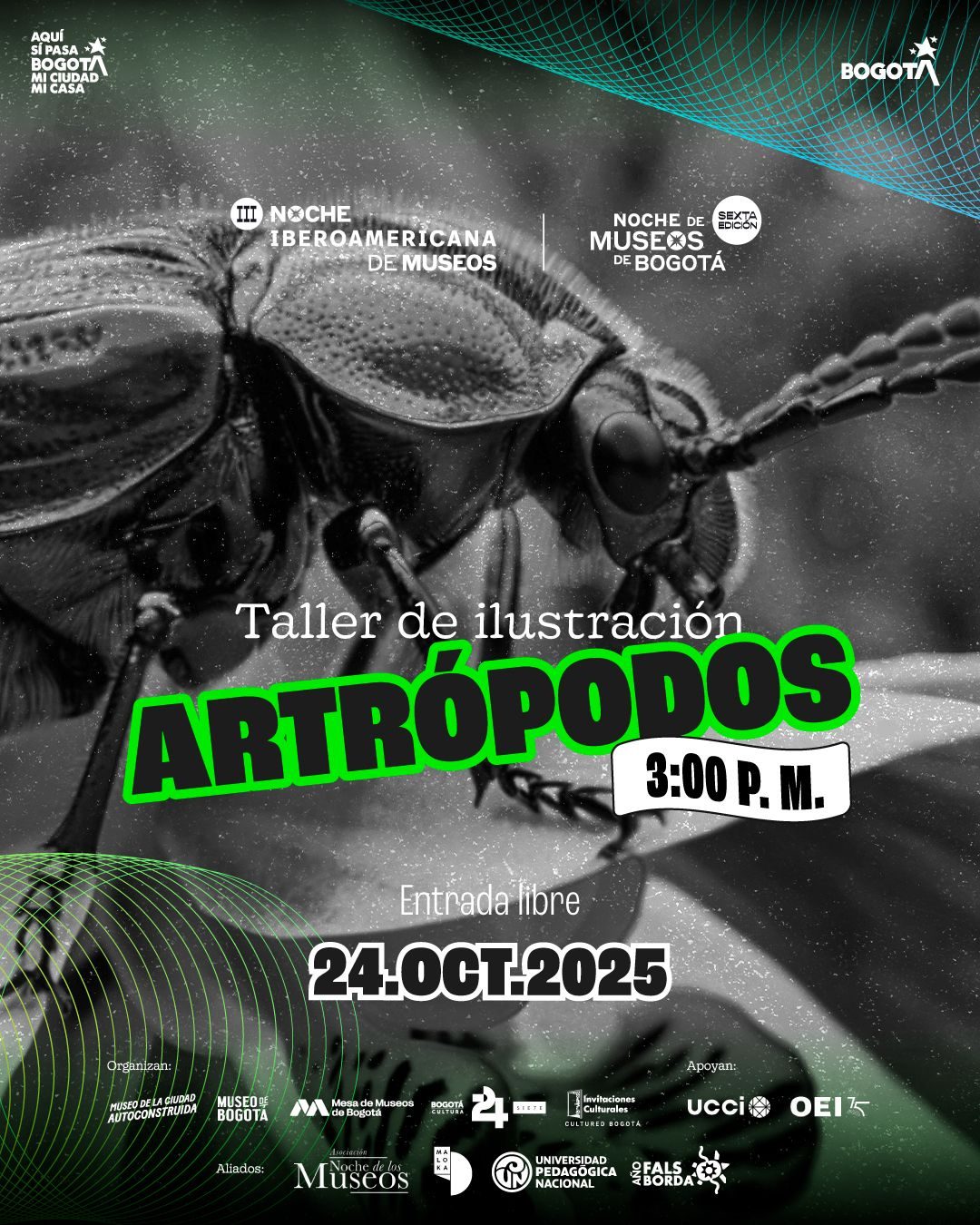 Aprende a ilustrar insectos en el Taller de ilustración de artrópodos en Maloka. Arte, ciencia y biodiversidad en la Noche de Museos 2025.