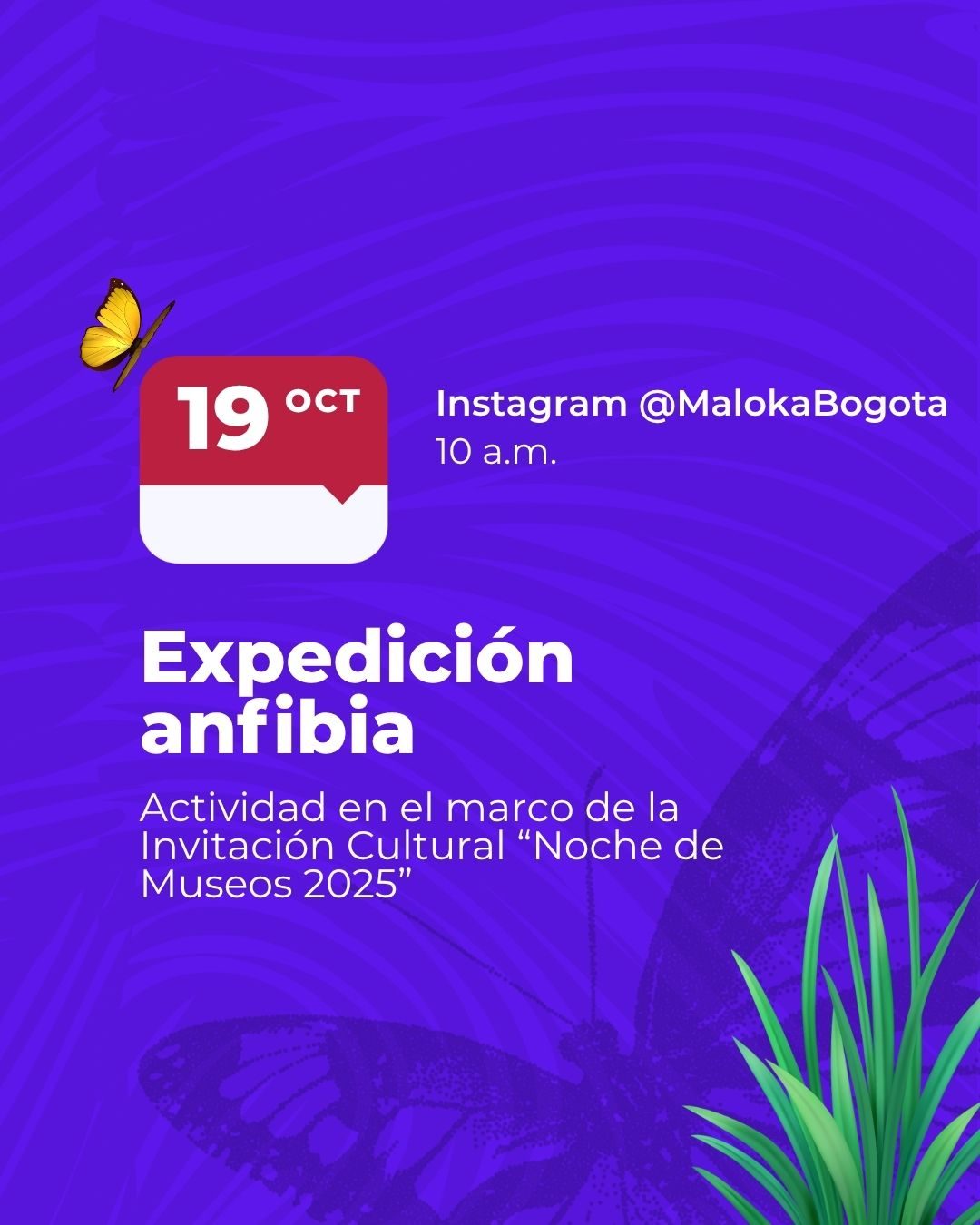 Conéctate a la Transmisión Expedición anfibia de Maloka. Descubre los ecosistemas urbanos desde el Humedal Valmaria y su relación con la vida cotidiana.