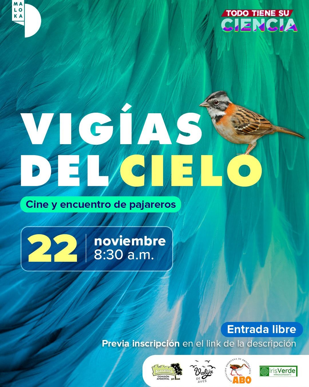 Disfruta la película “Vecinos inesperados” en Maloka y conversa sobre aves urbanas, ciencia ciudadana y biodiversidad. ¡Entrada libre con inscripción!
