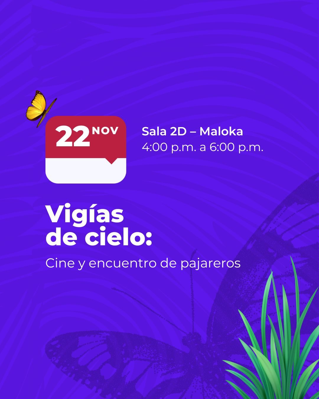 Disfruta la película “Vecinos inesperados” en Maloka y conversa sobre aves urbanas, ciencia ciudadana y biodiversidad. ¡Entrada libre con inscripción!