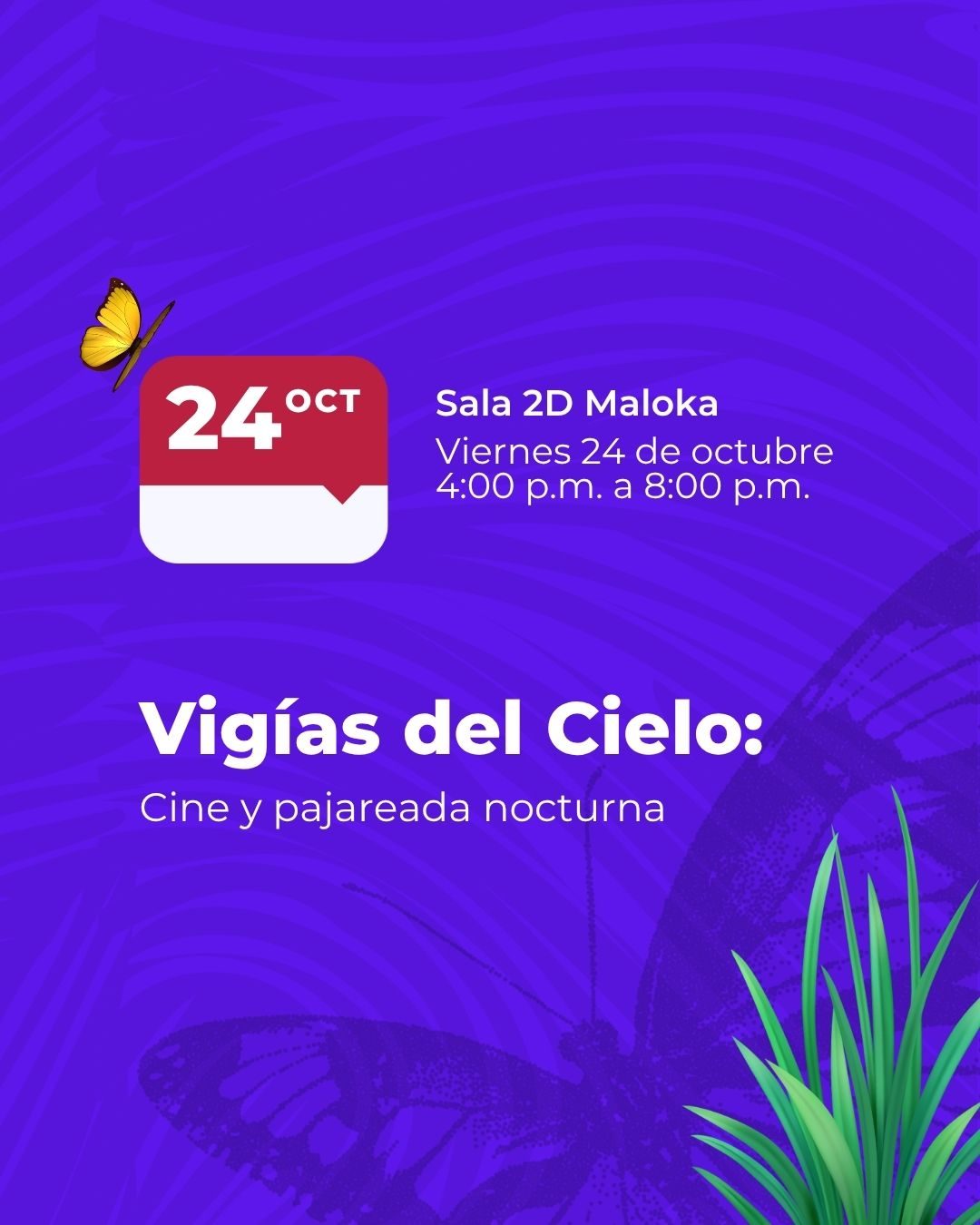 Disfruta cine y avistamiento de aves e insectos en “Vigías del Cielo”. Vive una noche de ciencia y naturaleza en Maloka. ¡Entrada libre con inscripción!